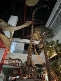 Yunnan Provincial Museum: Where Civilizations Converge