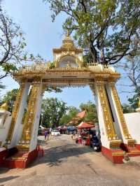 🌺ชวนเที่ยว วัดพระธาตุหนองบัว