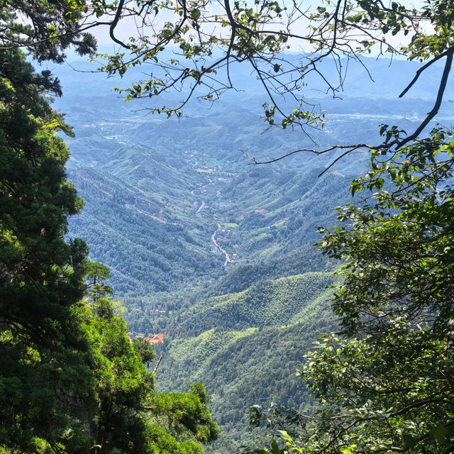 太白山絕美秘景～賞心悅目🌳  
