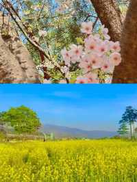🌿 양산 홍룡사 & 황산공원, 하루 힐링 코스 🌸✨