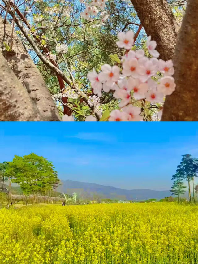 🌿 양산 홍룡사 & 황산공원, 하루 힐링 코스 🌸✨
