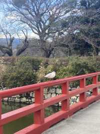 【小田原】いつ訪れても素敵な、季節ごとに表情豊かな景色を楽しむことができる城