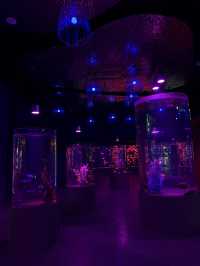 Xiangyang OCT Fabland-Aquarium🐟