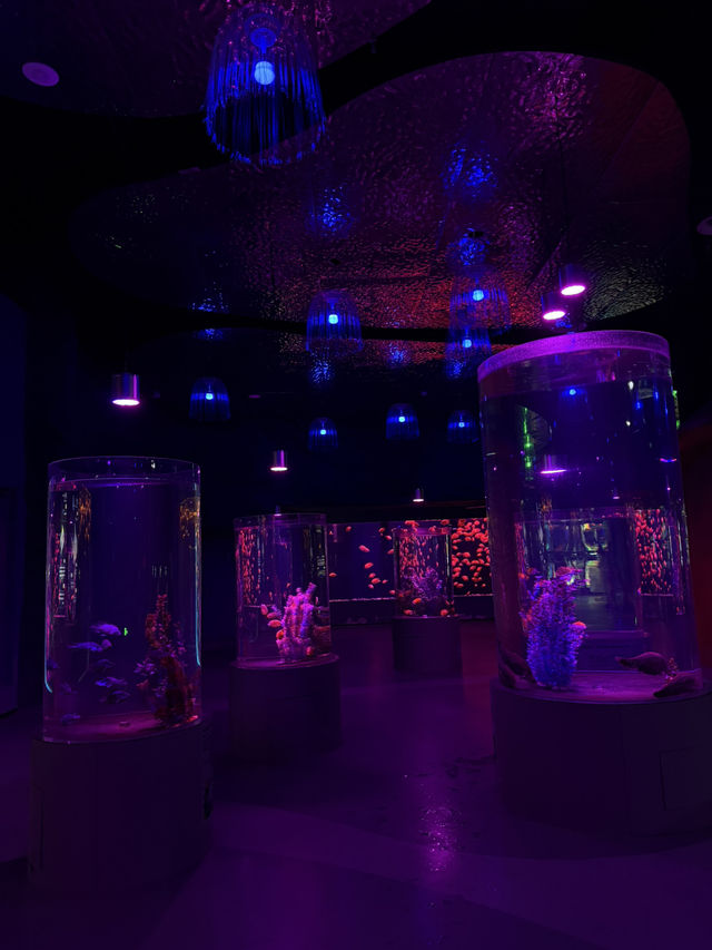 Xiangyang OCT Fabland-Aquarium🐟