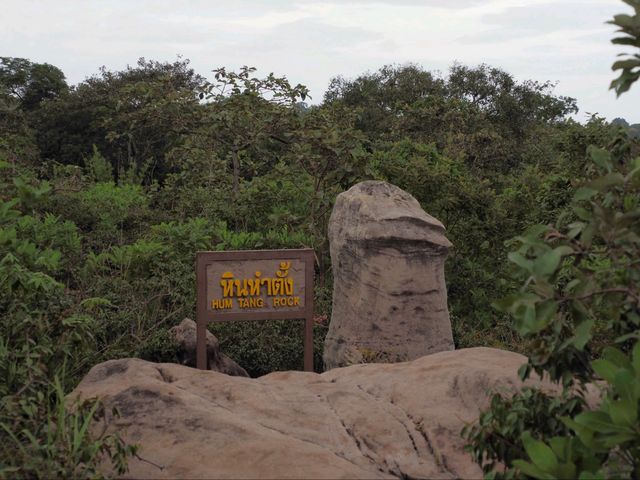 ลานหินงาม อม.ป่าหินงาม ชัยภูมิ