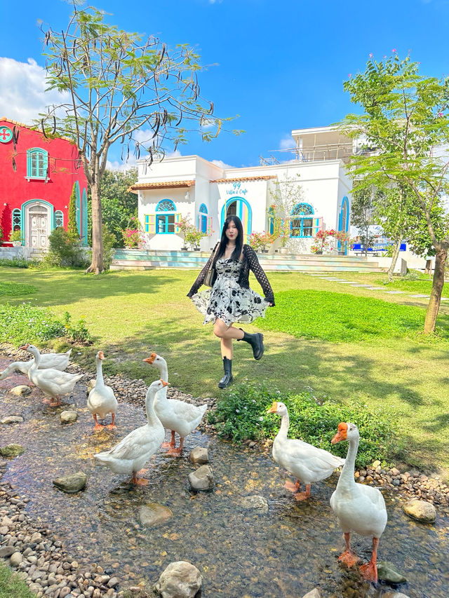 คาเฟ่น่ารักในเมืองเชียงใหม่🍵 คาเฟ่น่ารักในเมืองเชียงใหม่🍵