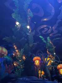 🎢 Tokyo DisneySea – Japan