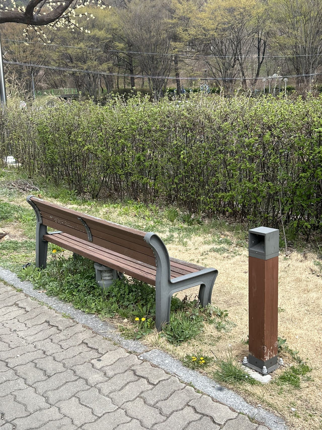 도심 속 힐링 산책, 명암저수지 🌿🦆