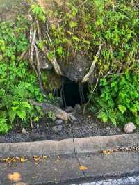 🌊 Hāna Town & Waiʻānapanapa State Park – Maui’s Hidden Gems 🌴✨🇺🇸