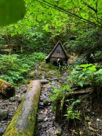 🌲 Slovak Paradise National Park – Adventure in Nature’s Playground 🌲
