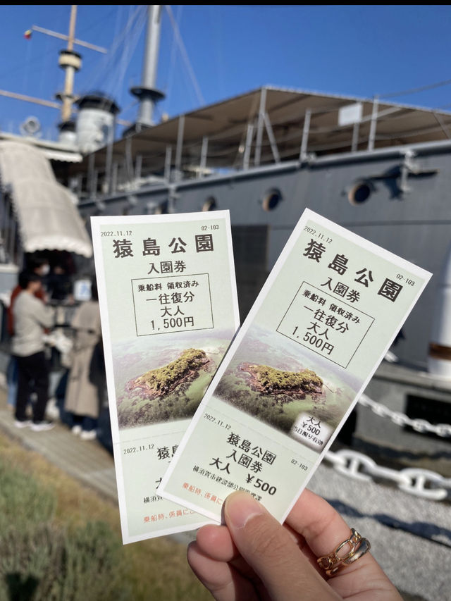 【東京湾に浮かぶ無人島🏝️猿島🐵】不思議な無人島体験レポ‼️