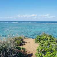 【沖縄】海も文化もグルメも！欲張り3泊4日攻略プラン🌺🐠
