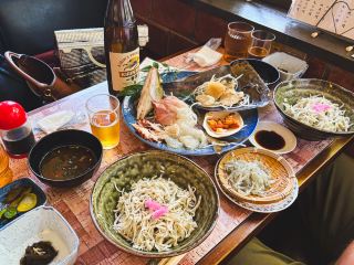 【아이치】신선하다! 시노시마에서 맛보는 일품 시라스와 사시미