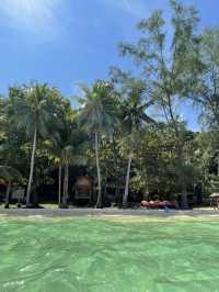 ดำน้ำตื้นเกาะช้าง