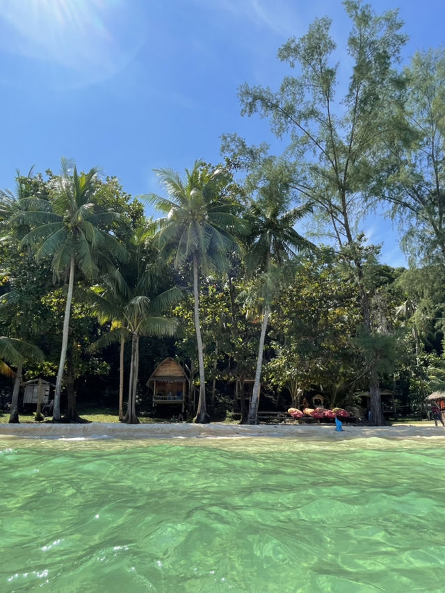 ดำน้ำตื้นเกาะช้าง ดำน้ำตื้นเกาะช้าง