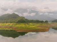 Secret Falls Vibe💧