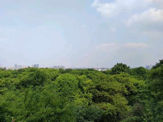 穿梭千年！蘇州虎丘山古韻園林沉浸式打卡攻略🗻