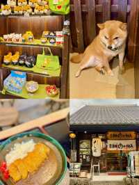 유후인에서 만난 달콤한 카레와 귀여운 시바카페 🍛🐕✨