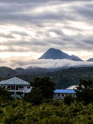 林貝植物園——熱帶天堂
