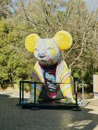 悉尼塔龍加動物園