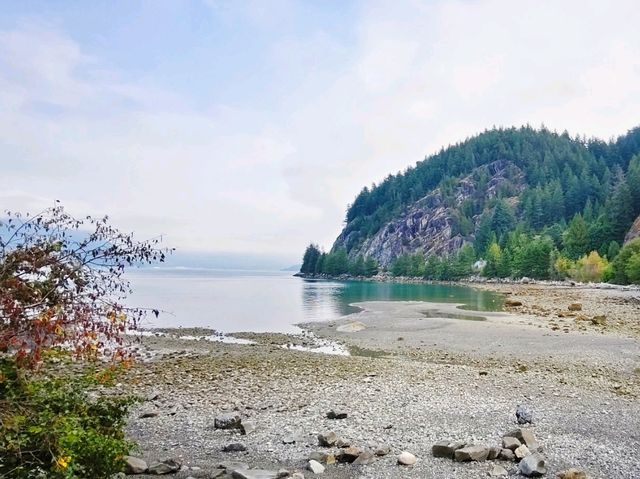 溫哥華波特灣省立公園:海水湛藍🌊 溫哥華波特灣省立公園:海水湛藍🌊