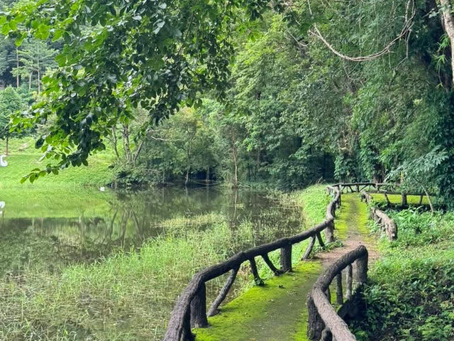 น้ำตกชันตาเถร บางพระ ชลบุรี 💦🌳