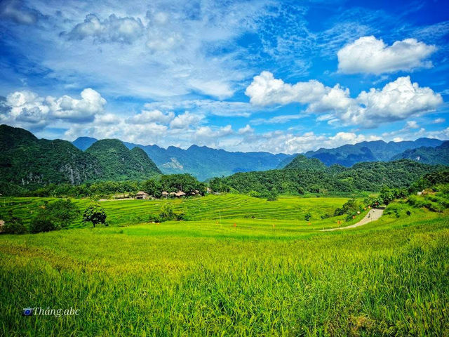 ✨🌿 Discover the Hidden Gem of Pù Luông, Vietnam! 🌿✨