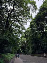東京明治公園：四季流轉中的都市綠洲，邂逅日式浪漫