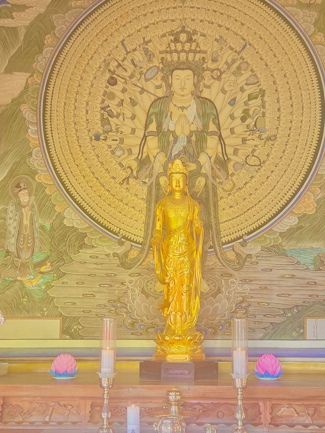 🍂 가을엔 불국사 산책 어때요? 🏯