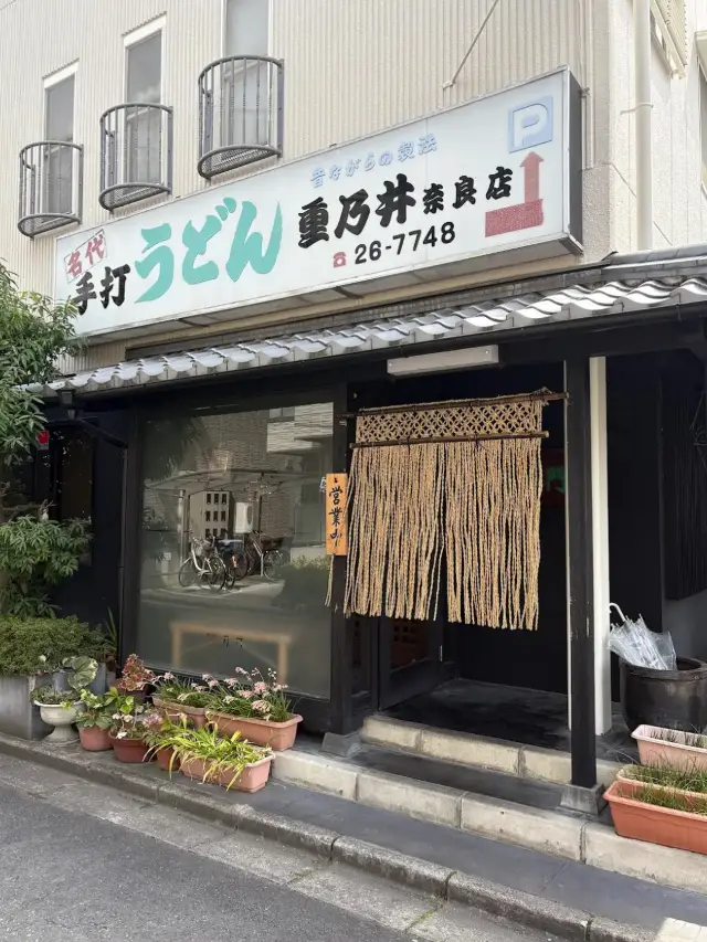 📍 Shigenoi Udon Review