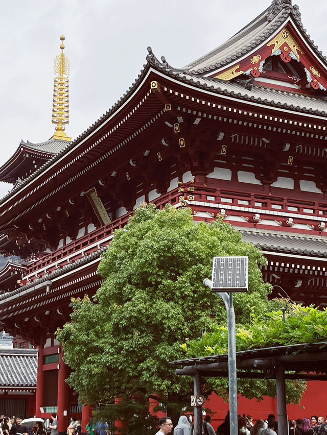 🏮 Sensō-ji Temple: Tokyo's Crimson Heart Where Ancient Gods Dance! 🎎