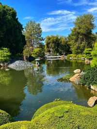 🌸 Japanese Friendship Garden – A Tranquil Oasis in Phoenix, Arizona