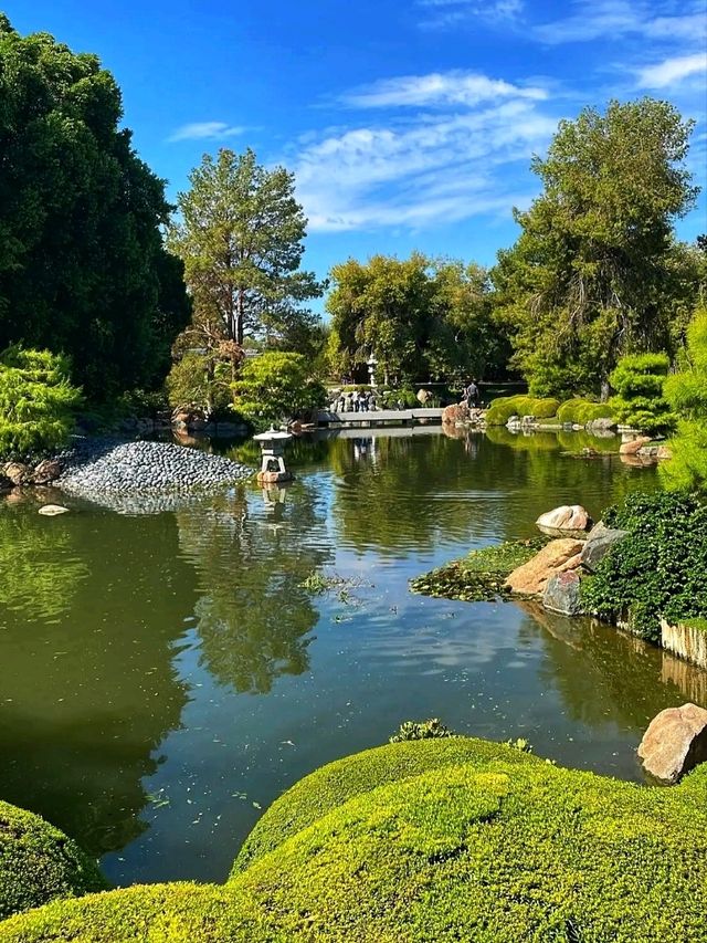 🌸 Japanese Friendship Garden – A Tranquil Oasis in Phoenix, Arizona