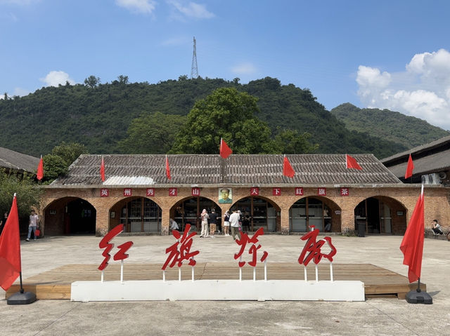 英德茶廠晴天chill之旅