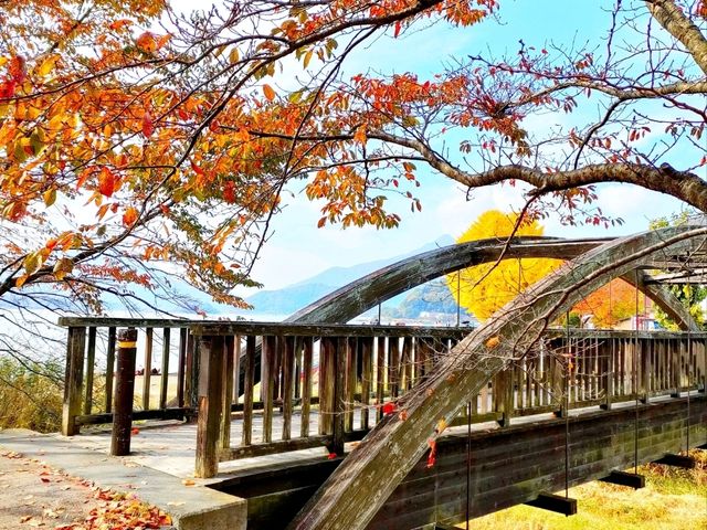 富士山と紅葉🗻🍁この景色はずるい！