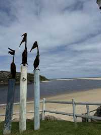 【オーストラリア・西オーストラリア】川と海が出会う癒しの場所「Moore River Estuary」🌊🌿