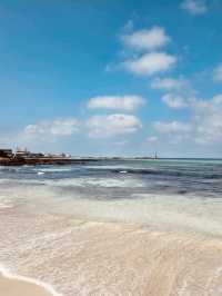 A Windsurfer's and Kiter's Paradise