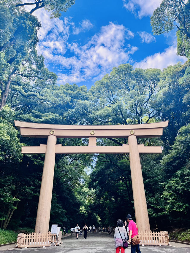 Tokyo Anytime: Eat, Shop, Explore!