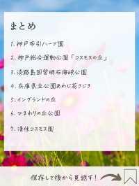 【兵庫】コスモス畑　おすすめ7選