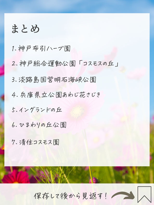 【兵庫】コスモス畑　おすすめ7選