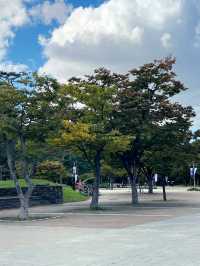 월드컵 공원과 메타세콰이어길🌳
