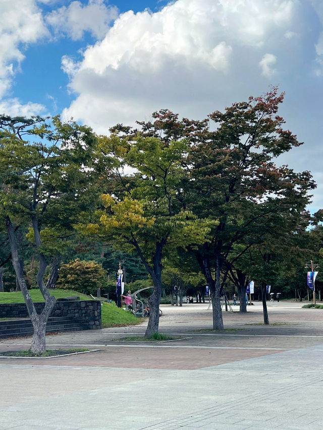 월드컵 공원과 메타세콰이어길🌳
