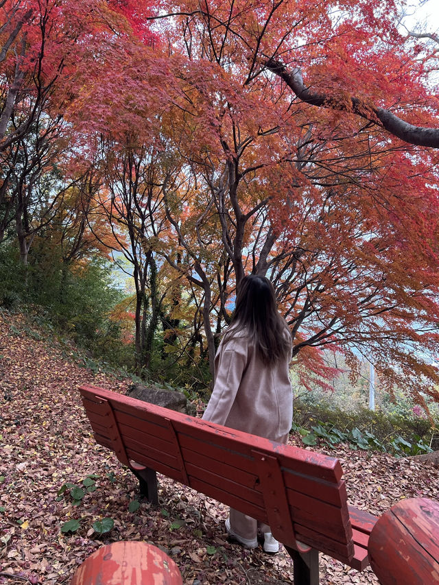  🍁 자산공원 가을 여행 🍁