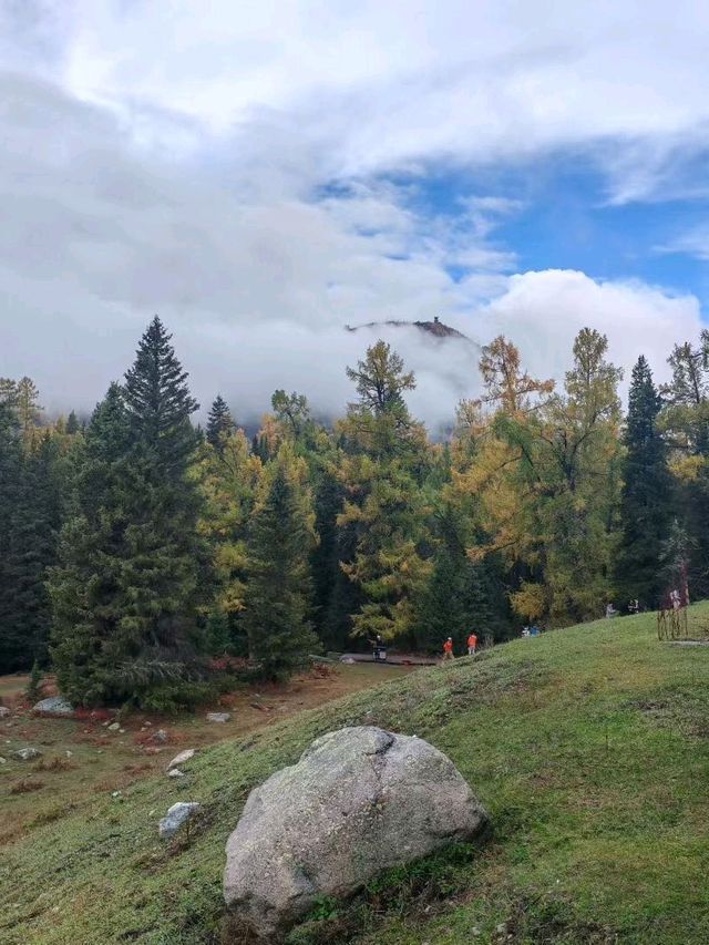 Misty Path Magic🌲