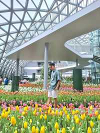 สวนดอกไม้เมืองหนาวระยอง