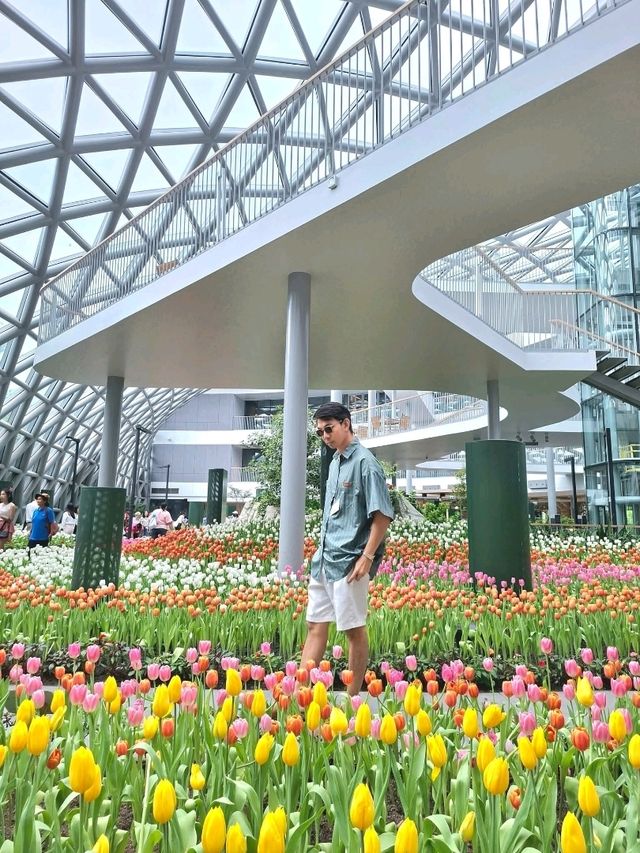 สวนดอกไม้เมืองหนาวระยอง สวนดอกไม้เมืองหนาวระยอง