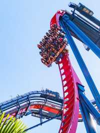 Busch Gardens Tampa Bay