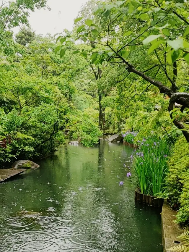 Tokyo’s Hidden Gem: Nezu Museum & Garden Vibes