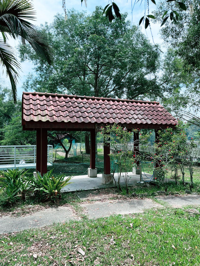 Paya Indah Wetlands: A Scenic Escape of Nature, Wildlife, and Fun Paya Indah Wetlands: A Scenic Escape of Nature, Wildlife, and Fun