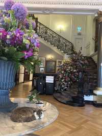 🏨✨ Boutique Heritage Stay at The Bailey’s Hotel, London Kensington 📍